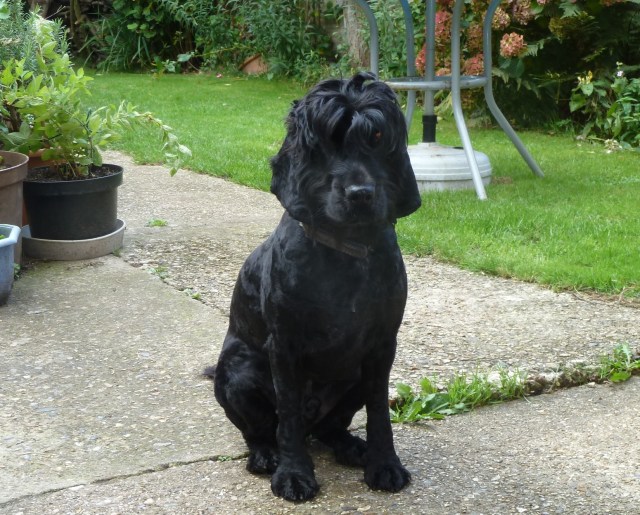 Could I have my fur back now please?