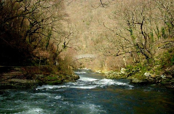 Mystical Bridge River Lyn, Devon
