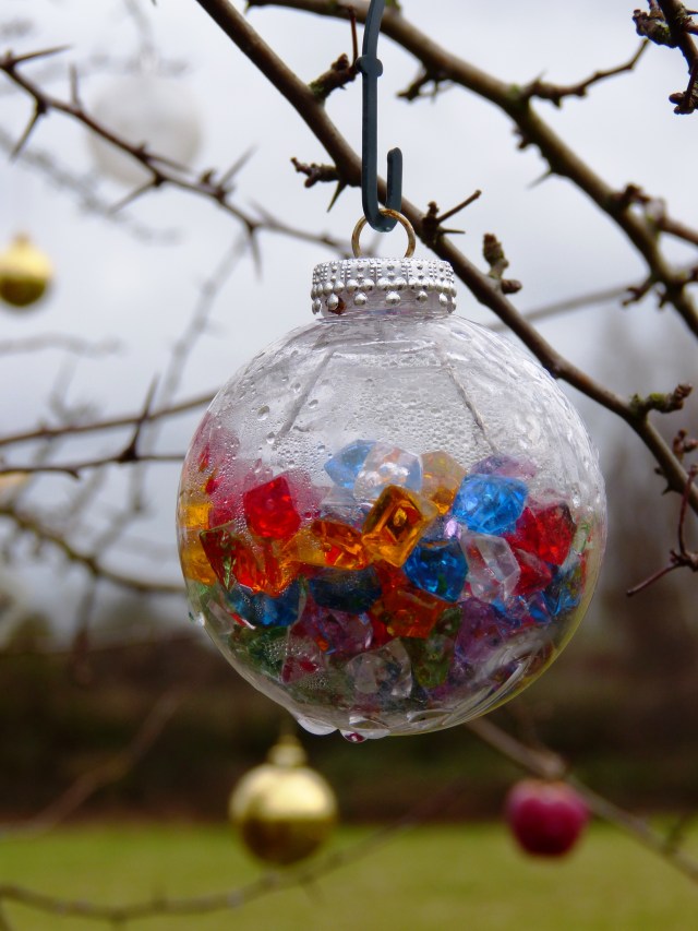 Interesting Bauble on the Desborough Island Pet Christmas Tree
