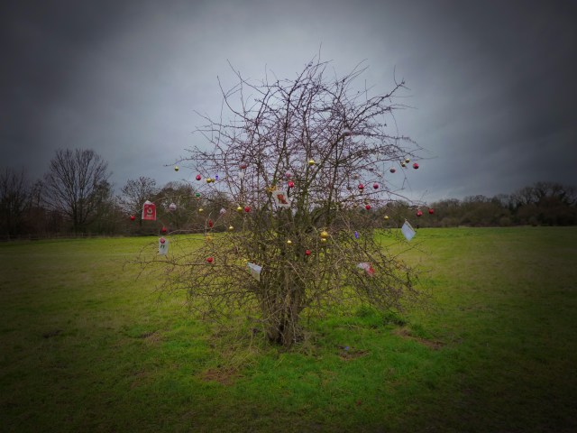 Pet Christmas Tree on Desborough island