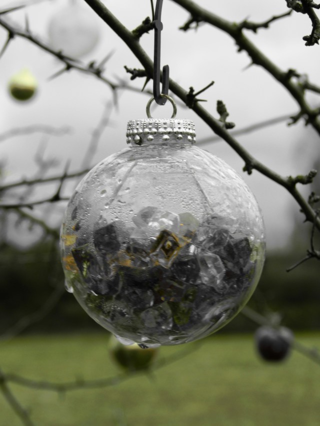 Edited with my camera