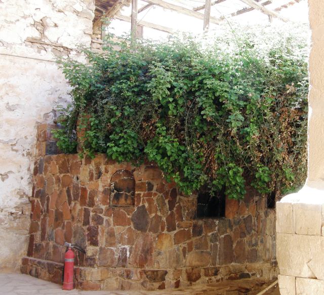 The Burning Bush (& a fire hydrant just in case)