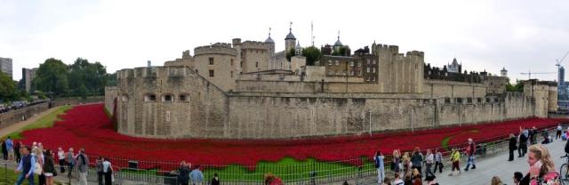 Poppies at the tower