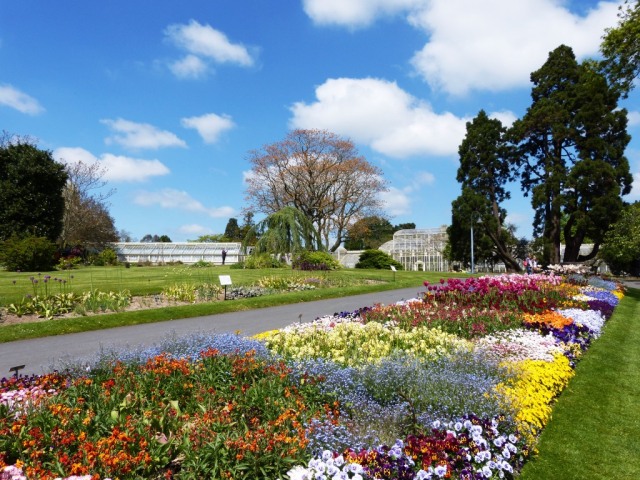 The Botanical Gardens Dublin