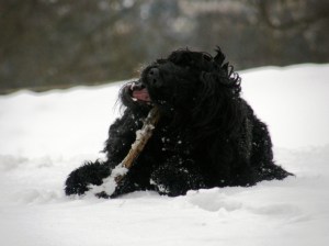 All days are good days according to Wilson