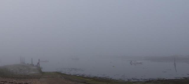 We woke to a thick fog