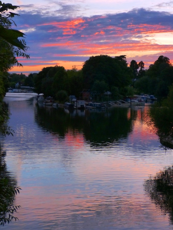 D'Oyly Carte Island at Sunset