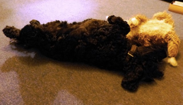 Wilson is good at Leg Raises