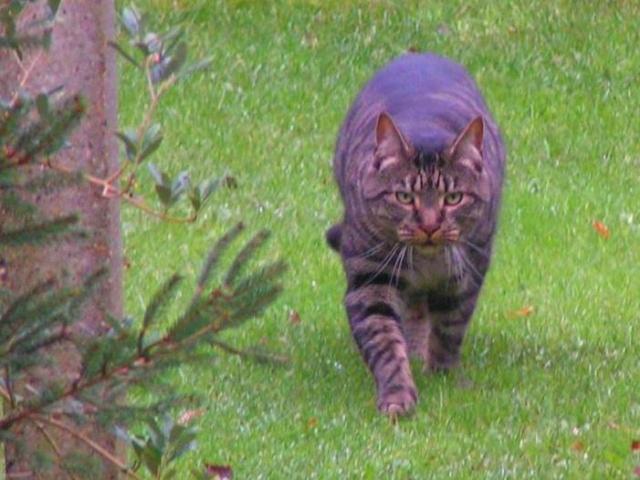 ..although he never really sounded like a house exploding......