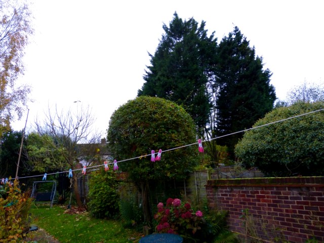 40ft trees block the afternoon sun