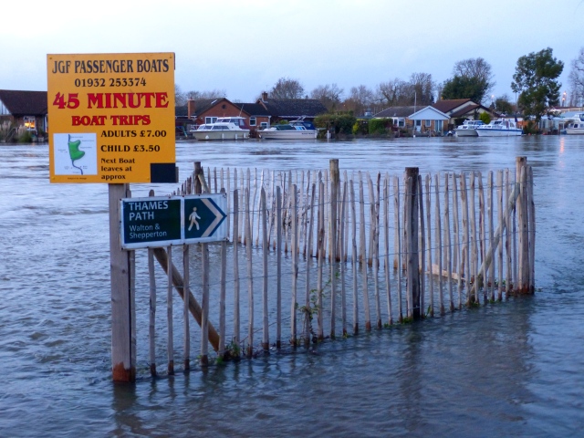 The Thames footpath is under water 7.1.2014