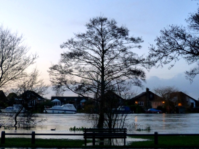 Flooding of the Thames at Walton 7.1.14