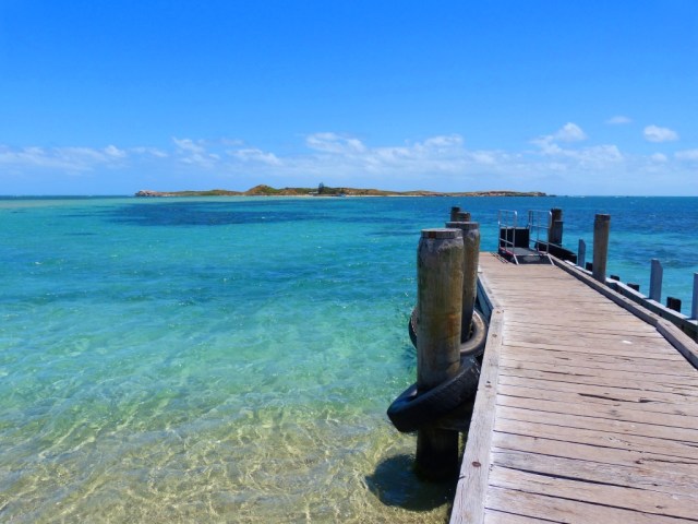 The Jetty for the Ferry to Penguin Island