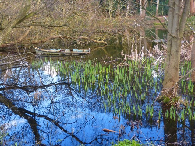 Boat on Broadwater Lake