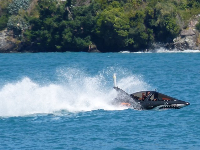 A Shark in Lake Wakatipu in Queesntown