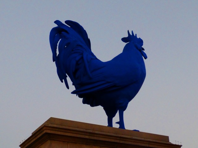 Blue Chicken